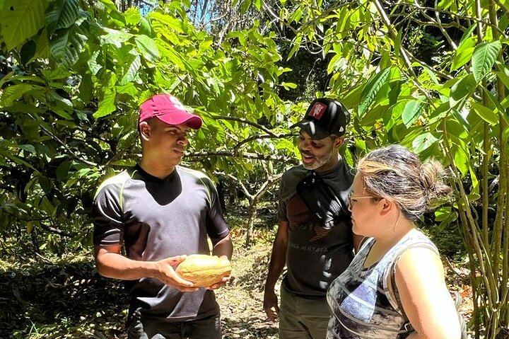 Showing the fruit.